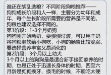 幼犬狗粮浸泡时间的重要性（合理浸泡时间能提升幼犬的消化吸收能力）