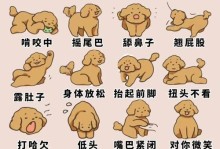 培养狗狗保护本能的方法（让你的狗狗变得更凶，保护你和家人的安全）