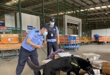 接狗去机场需要准备什么？（旅行必备宠物用品清单，机场接狗攻略）