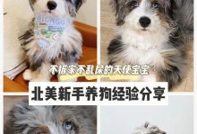 公狗为何有两排咪咪？（揭开公狗奇特咪咪之谜）