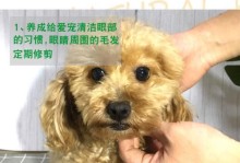 如何自己帮狗狗通鼻泪管？（简单有效的方法让你的爱犬摆脱泪痕问题）