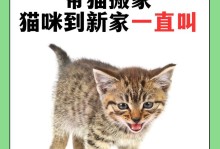 猫的叫声之谜（探寻猫叫的奥秘）