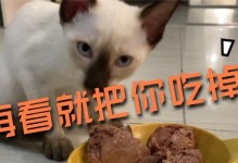 猫咪饮食健康，别让鸡肝成为“毒药”（鸡肝是猫咪的福利？小心毒害健康！）