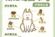 狗狗驱虫频率探究（为保护狗狗健康，驱虫应该多久进行一次？）