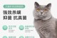 如何用药物有效除耳螨——以猫为例（药物选择的关键和正确用药步骤）