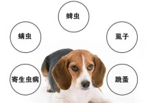如何正确驱虫，保护刚出生的小狗健康成长（小狗驱虫时间表及关键注意事项）