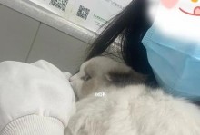 猫咪不吃去医院查什么？（宠物主人必看！——以猫咪不吃为例，了解宠物健康。）