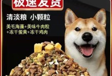 狗的食谱（探索狗狗饮食世界，发现狗狗的美味佳肴）