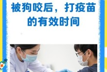 狗狗打疫苗的时间表（掌握疫苗注射时间，守护狗狗健康）