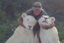 南非宠物多样性（南非宠物的种类和特点一览、以及其对当地文化的影响）