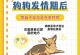 金毛生理期的持续时间及相关注意事项（金毛生理期持续时间与保健知识，探究最佳护理方法）
