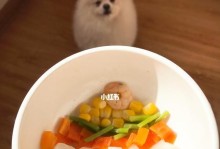 新购博美幼犬的健康食谱（养成好习惯，让博美宝宝健康成长）