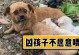 不喂狗会导致健康问题的严重性（狗狗饮食管理的重要性和频率）