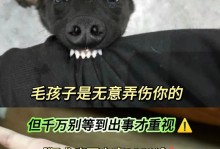 狂犬病（探讨狗咬伤引发狂犬病的危险性及防治方法）