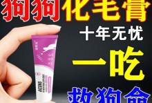 狗狗不吃饭还吐，该吃什么药？（了解狗狗不吃饭还吐的原因及合适的药物治疗方法）