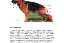 挪威猎麋犬的饲养全攻略（养犬之前先了解这些，让你的爱宠更健康）