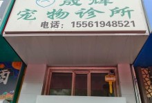 公猫绝育技术的选择与应用（以公猫绝育为例，探讨合适的方法及风险评估）