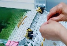 养殖乌龟的饲料选择与喂养方法（科学饲养乌龟，选择合适的食物，让其健康成长）