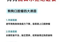 以犬瘟治不好，合理的饮食加治疗能让狗狗好得更快（改善犬瘟治疗效果的关键方法）