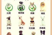 不能作为宠物的狗种（选择合适的狗种是养狗的关键）