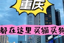 曲靖哪里可以买到狗？（一探曲靖狗市场，寻找您心仪的宠物伴侣）