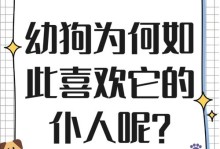 狗狗的陪伴之爱