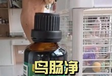 冬季鹦鹉进入病发高峰期的护理指南（急救措施和预防方法，保护你的宠物鹦鹉健康）