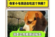 狗狗每天应该吃多少狗粮？（宠物健康与营养需求）