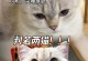 猫为什么会掉毛？（探究猫掉毛的原因与预防方法）
