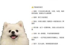 揭秘博美与主人的默契时刻（以博美多久才能认识主人？解密它们的感情交流之谜）