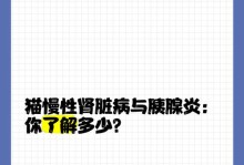 猫咪慢性肾病（了解猫咪慢性肾病的常见原因以及如何预防）