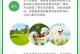 以福来恩滴多久有效果？（探究福来恩在人体的效果持续时间以及关键因素）