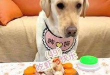 以狗喂什么动物？（狗在动物食物链中的地位及其适合喂养的动物）