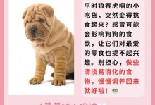 狗狗流鼻血（狗狗流鼻血）