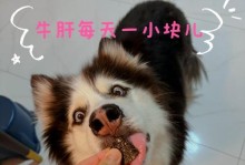 20天的小狗饮食指南（小狗成长所需食物及喂养建议）