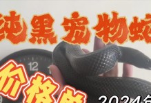 拥有宠物蛇的乐趣与便宜（探索适合家庭的经济型宠物蛇）