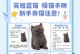 探讨英短蓝猫食用餐肉的频率（了解蓝猫食用餐肉的最佳时间和注意事项）