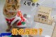 如何满足宠物的需求（关注宠物健康与幸福的关键）