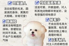 比熊犬的成年体型及其影响因素（揭秘比熊犬最大可长多大的秘密）
