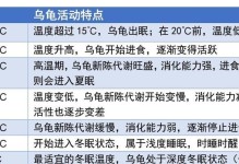 如何科学地饲养软壳龟（探秘宠物软壳龟的食性、饲养环境及健康管理）