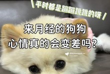 如何帮助狗狗平安度过月经期（教你如何平稳度过例假）