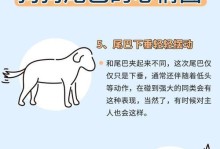 了解爱尔兰水猎犬的饲养方法（如何成为一名合格的爱尔兰水猎犬主人）