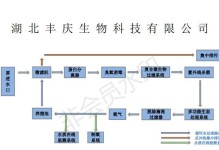 齐兴肉兔饲养全攻略（建立兔舍、喂养管理、疾病预防）