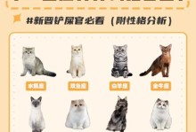 双鱼座的理想猫咪伴侣（选择适合双鱼座的猫咪，让爱与温暖充满你的生活）
