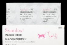 治疗狗咳嗽流眼泪流鼻涕的药物与方法（有效缓解犬只呼吸道疾病的关键药物与护理方法）