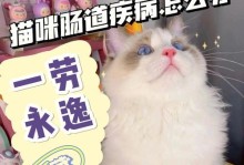 如何帮助猫咪克服拉稀问题，重拾精神？（全面分析拉稀问题，探究可能原因和应对方法，让宠物健康快乐。）