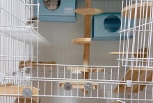 龙猫合笼的最佳时间长度（合笼多久最适合的关键）