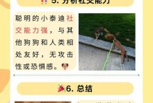 泰迪狗狗头部发育的时间和过程（了解泰迪狗狗头部发育的关键阶段和特征）