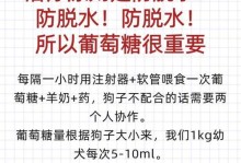 狗狗冠状病毒的存活时间（揭秘狗狗冠状病毒的存活能力及预防措施）