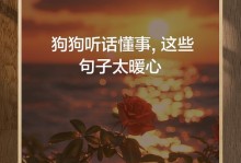 哪种狗能听懂人话？（人类最亲密的朋友是否能真正理解我们？）